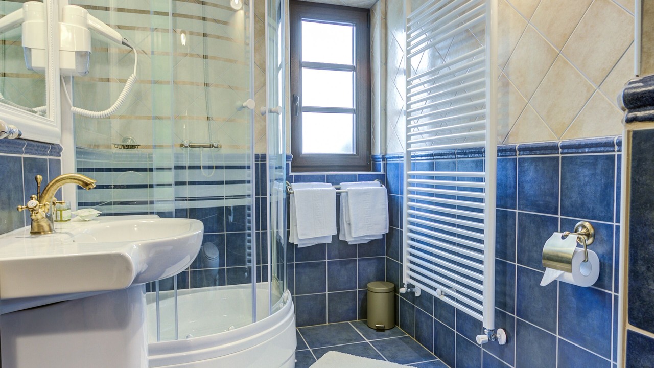 Photo of Bathroom in Vladeni