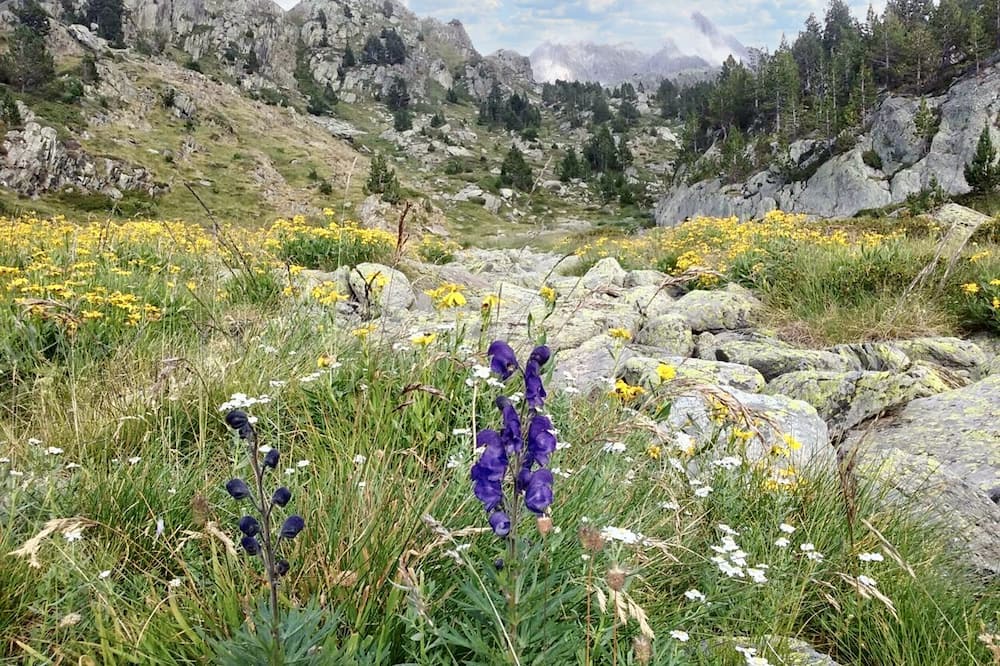 Photo of Outdoor in Llimiana
