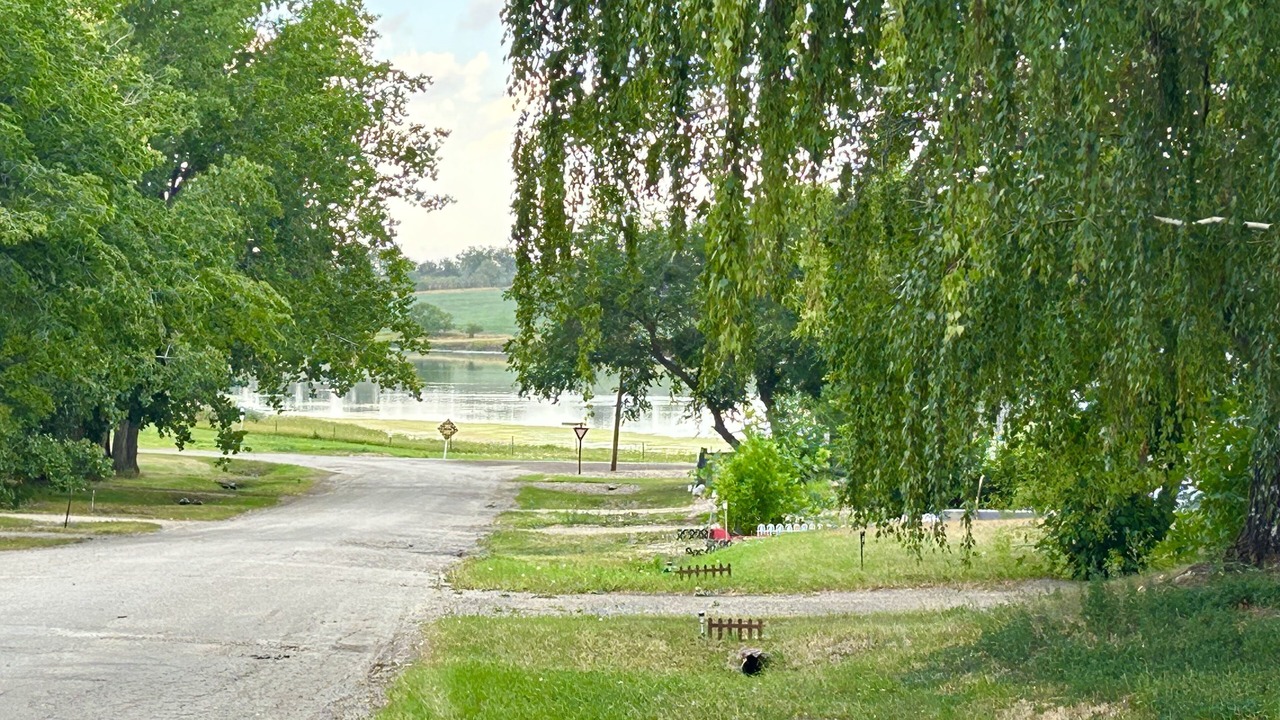 Photo of Others in Herbert