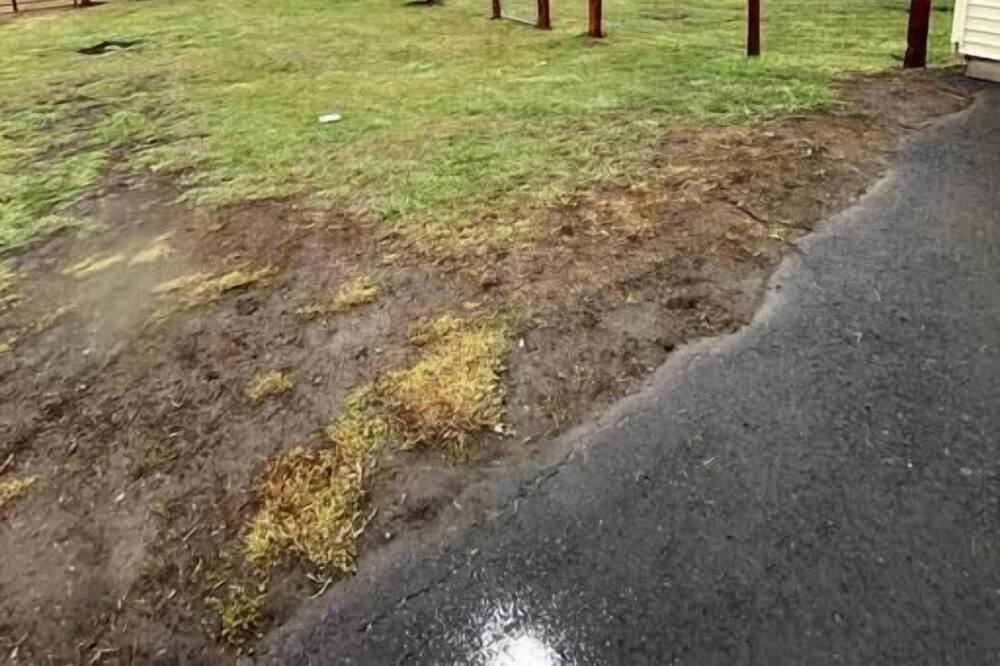 Photo of Others in Grangeville