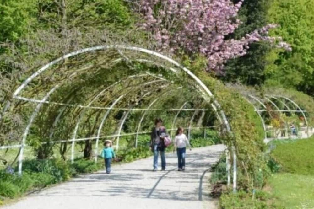 Photo of Outdoor in Saint-Jean Eudes Saint-Gilles