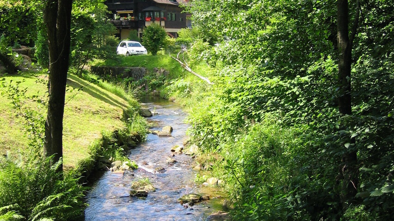 Photo of Outdoor in Bad Herrenalb