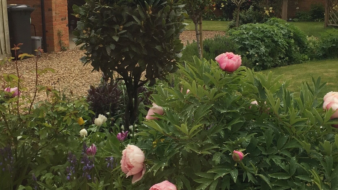 Photo of Outdoor in Blakesley