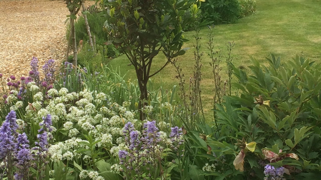 Photo of Outdoor in Blakesley