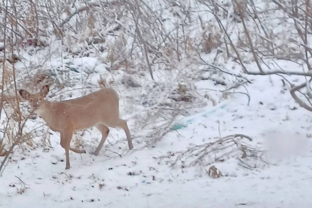 Photo of Others in Fenton