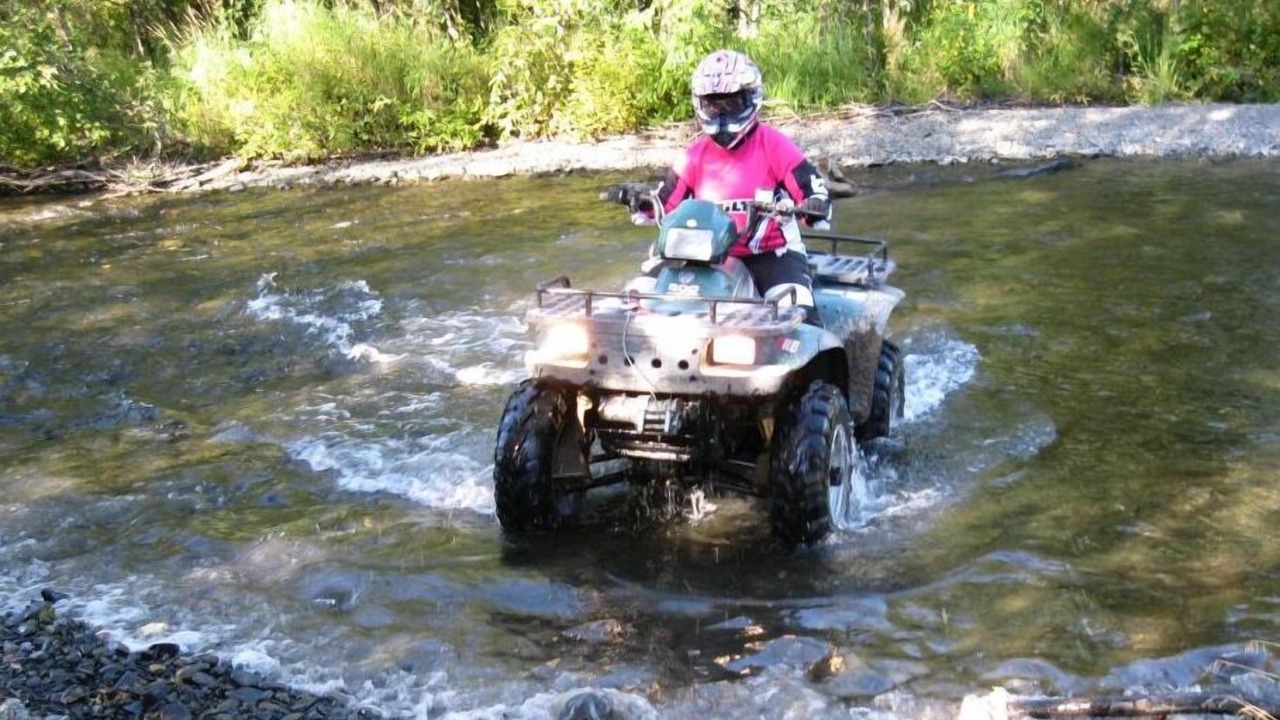 Photo of Outdoor in Ninilchik
