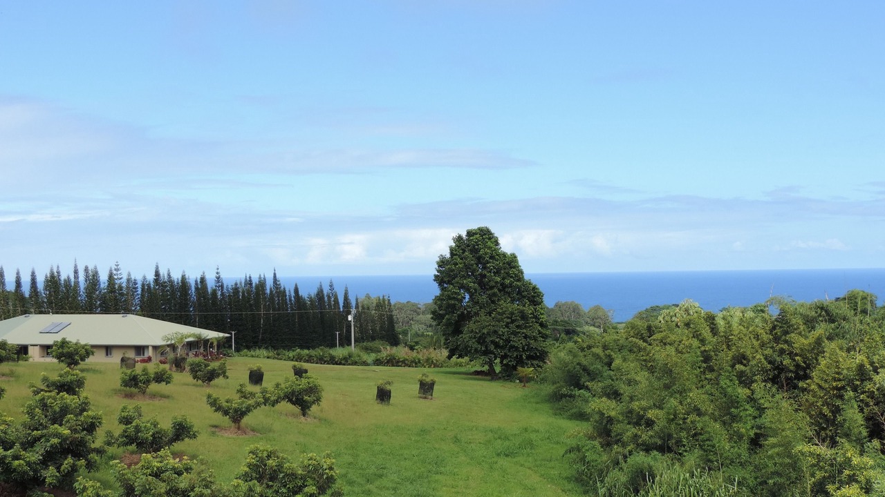 Photo of Outdoor in Hakalau