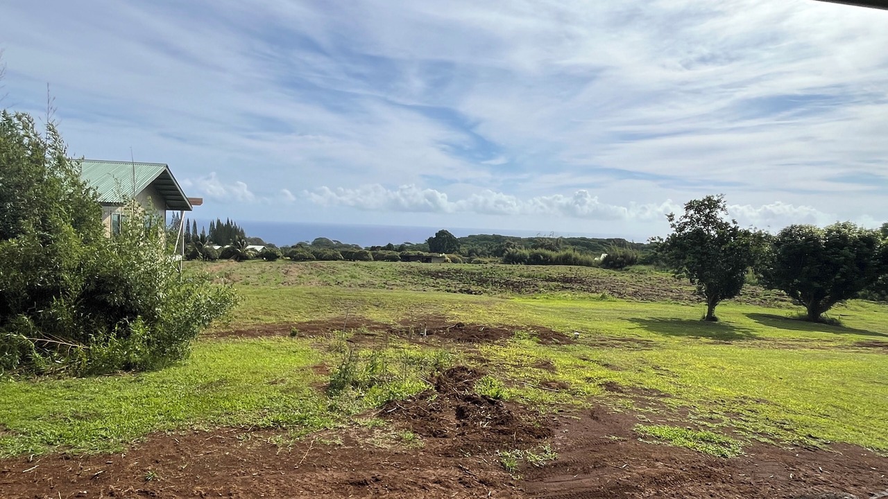 Photo of Others in Hakalau
