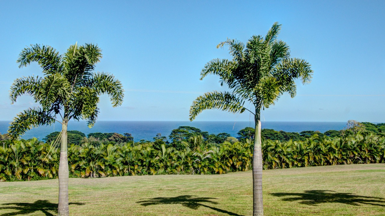 Photo of Others in Hakalau
