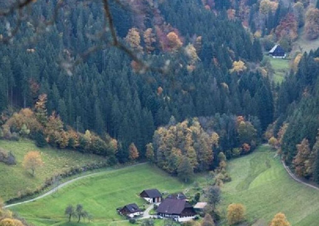 Photo of Others in Furtwangen