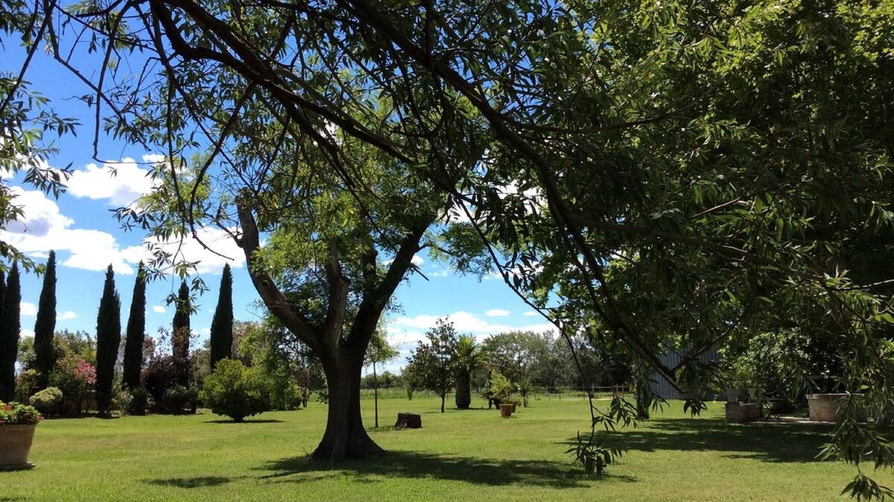 Photo of Outdoor in Arles