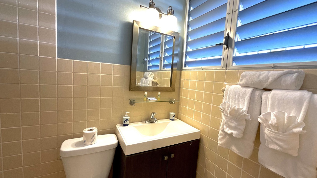 Photo of Bathroom in Frederiksted Southeast