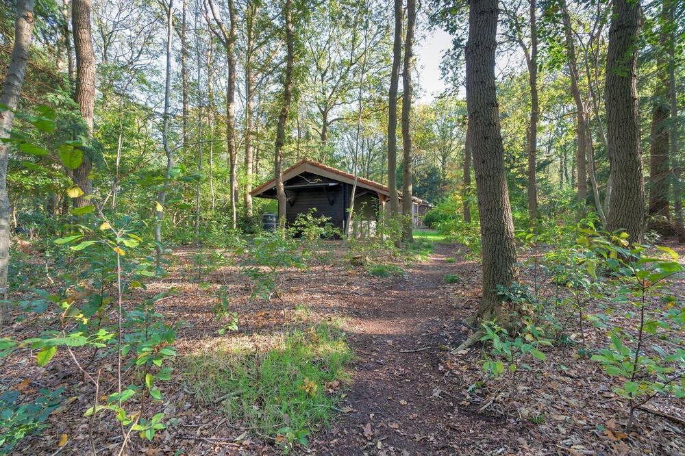Photo of Outdoor in Zorgvlied
