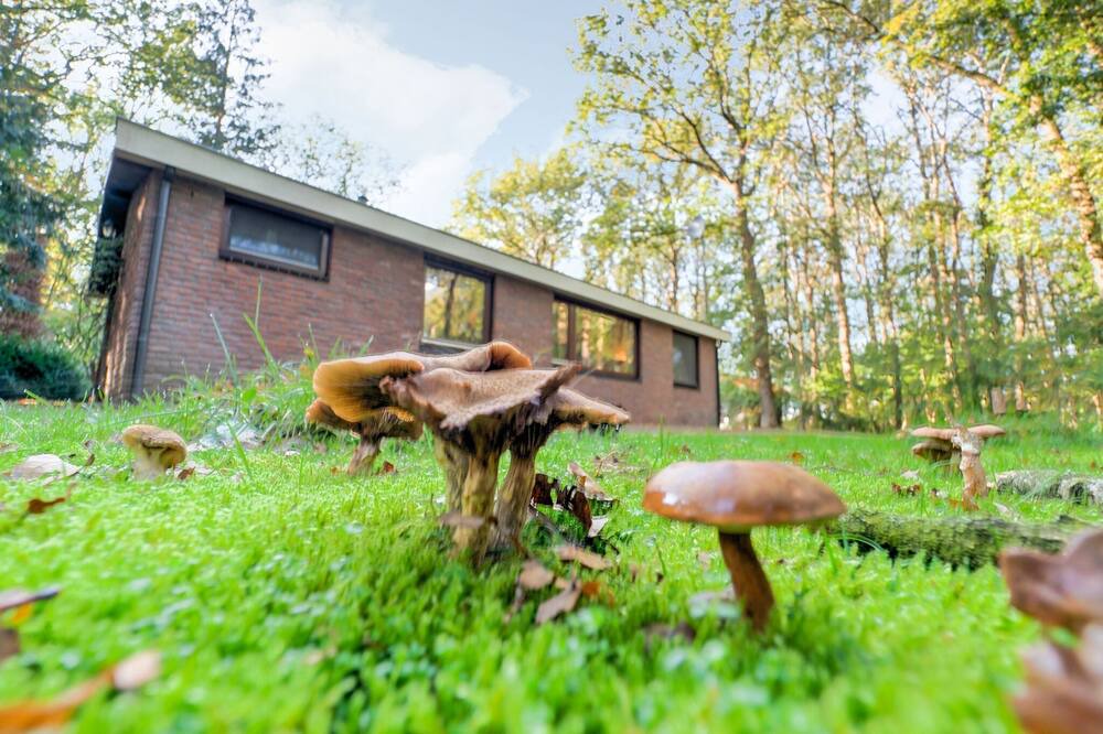 Photo of Outdoor in Zorgvlied