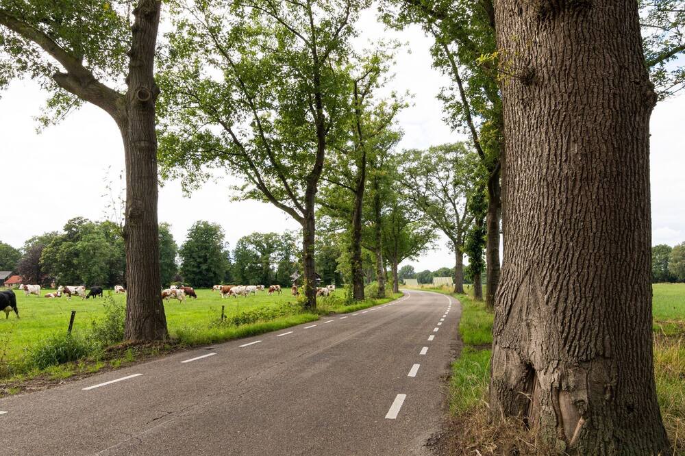 Photo of Others in Municipality of Enschede