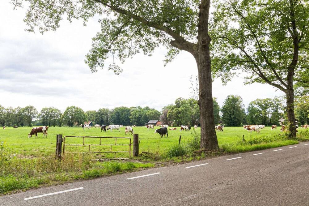 Photo of Others in Municipality of Enschede
