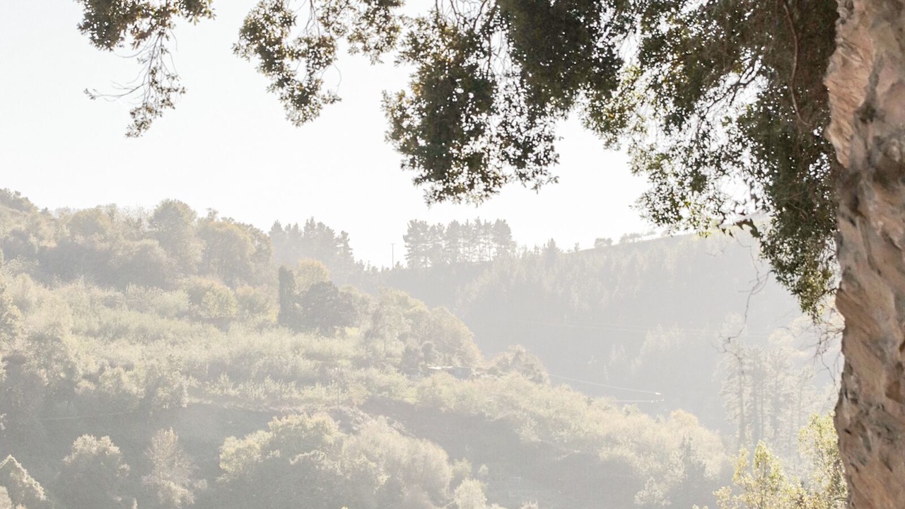 Photo of Outdoor in Deba