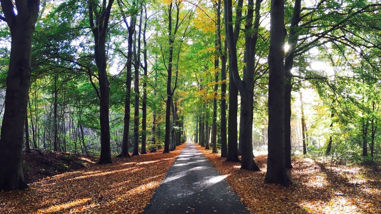 Photo of Outdoor in Zorgvlied