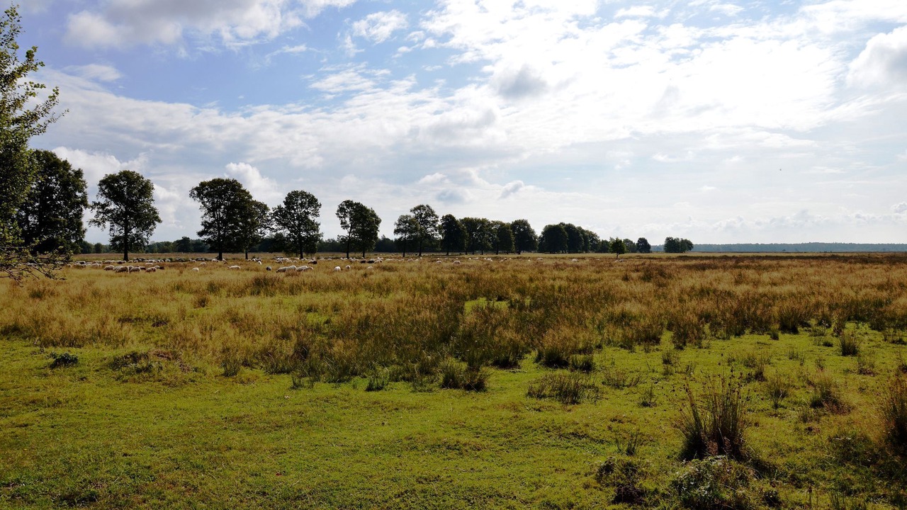Photo of Outdoor in Zorgvlied