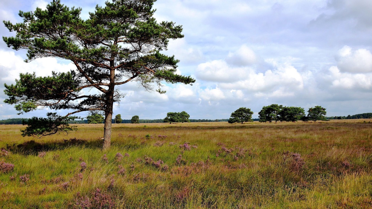 Photo of Outdoor in Zorgvlied