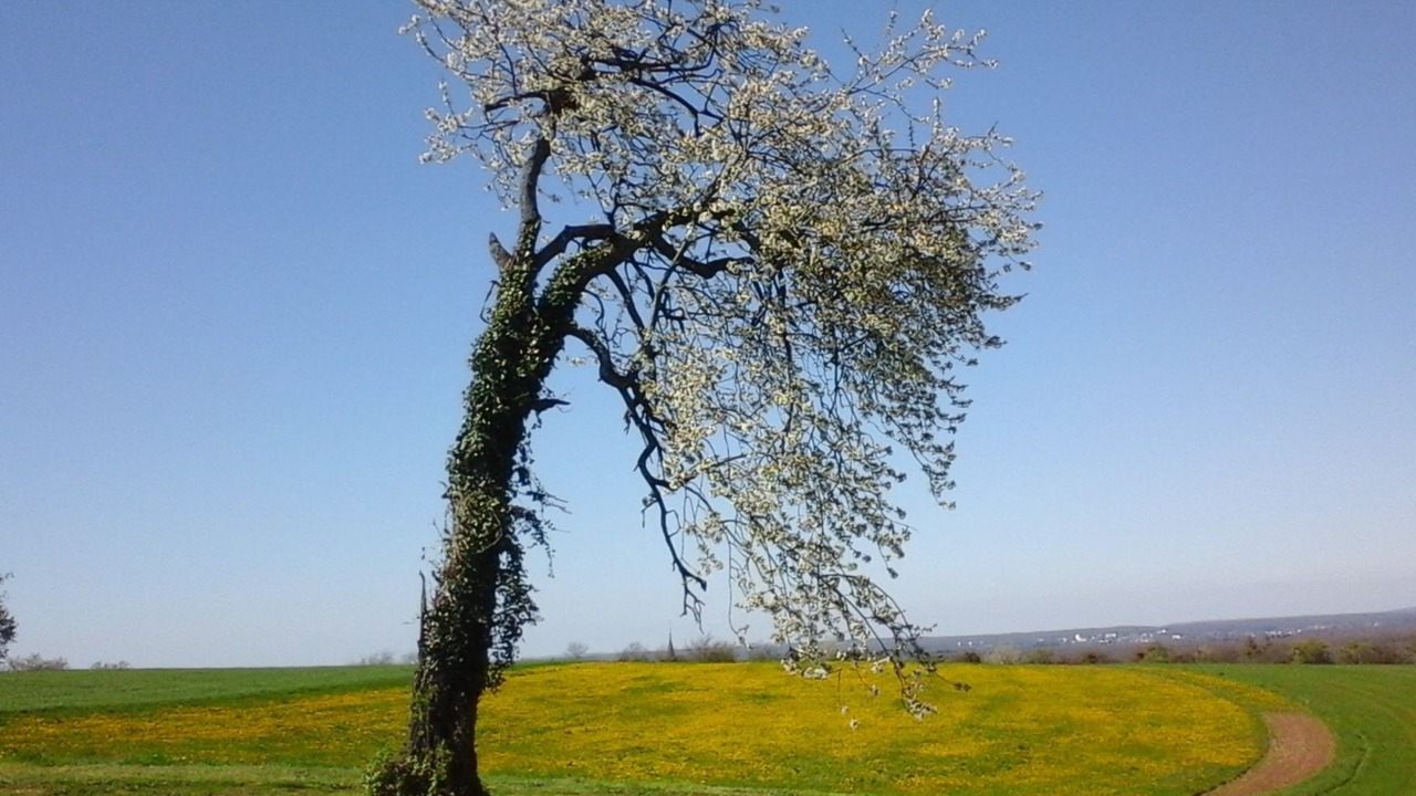Photo of Others in Haut-du-Them-Chateau-Lambert