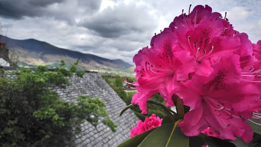 Photo of Outdoor in Braithwaite