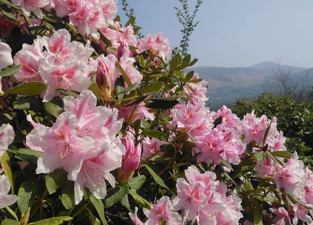 Photo of Outdoor in Braithwaite