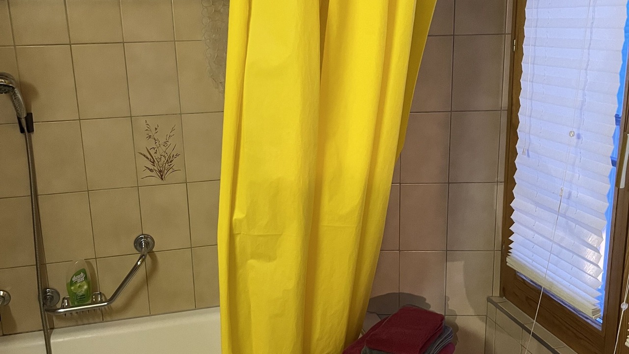 Photo of Bathroom in Hauderes