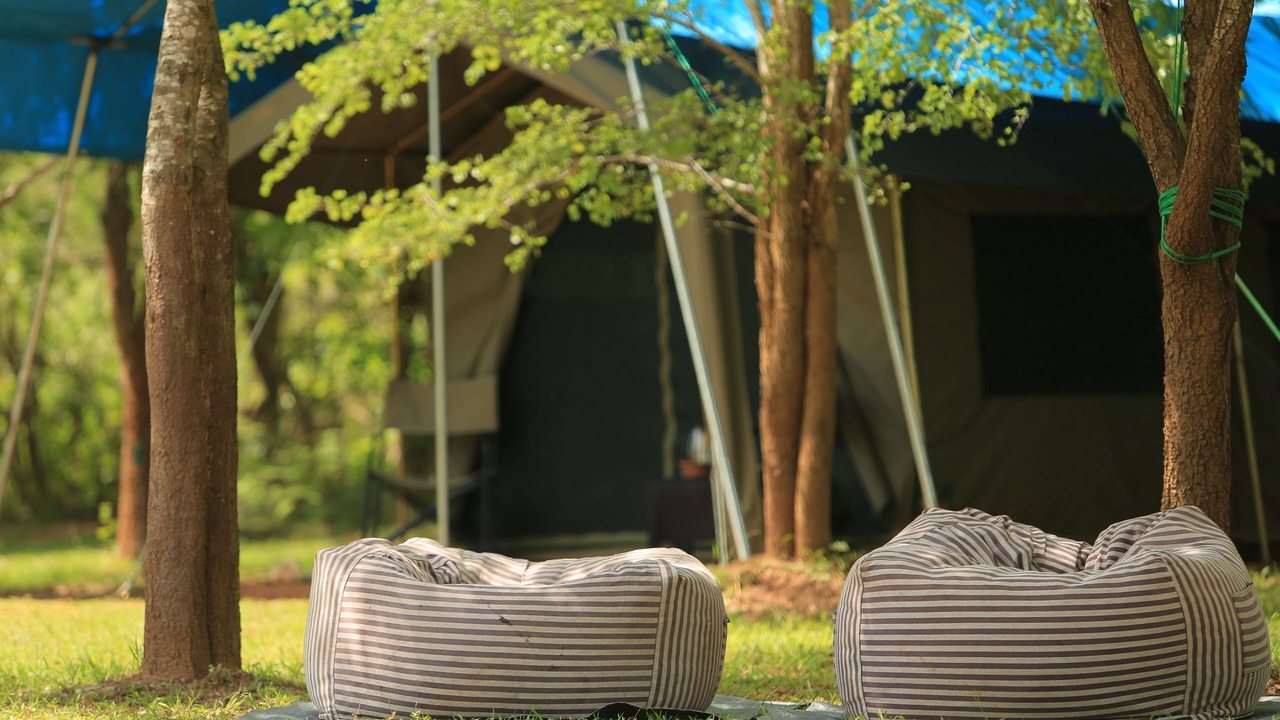 Photo of Outdoor in Tissamaharama