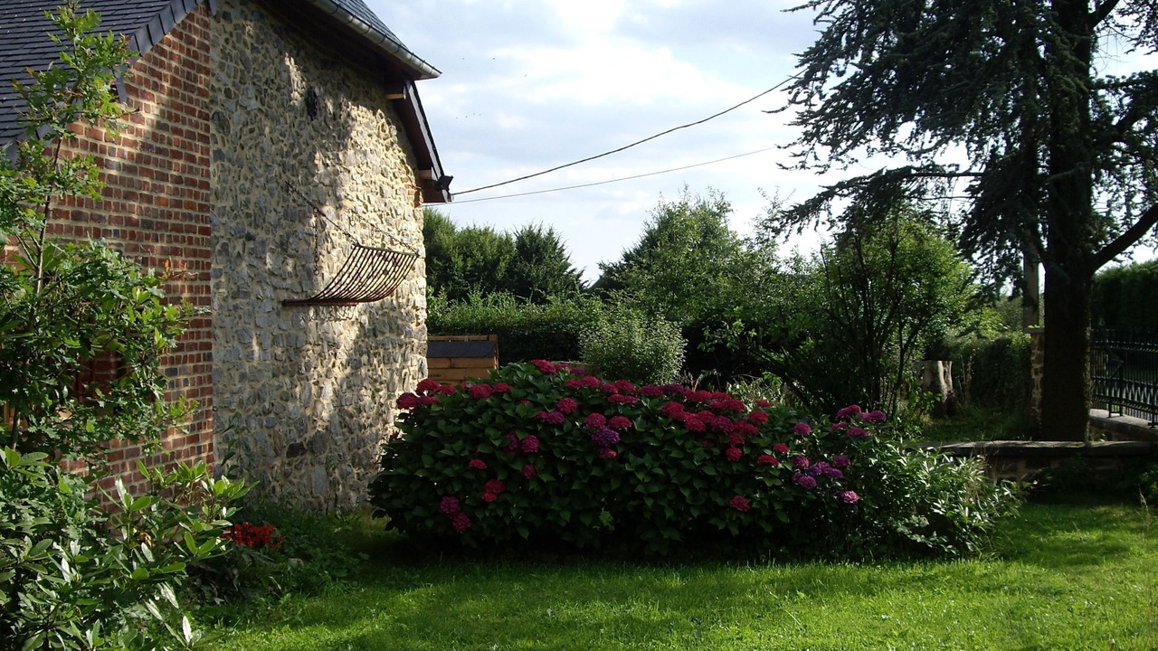 Photo of Outdoor in Mondrepuis
