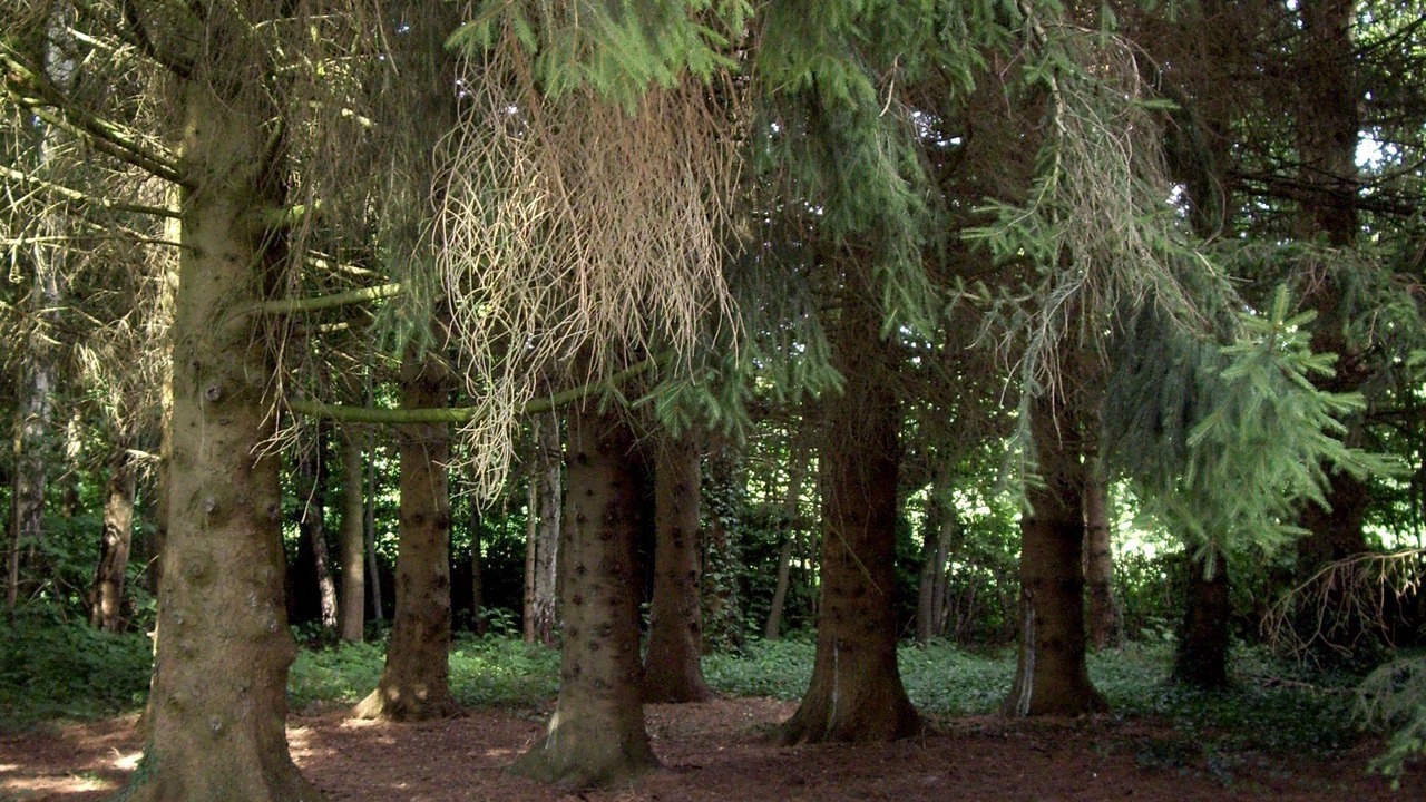 Photo of Outdoor in Mondrepuis