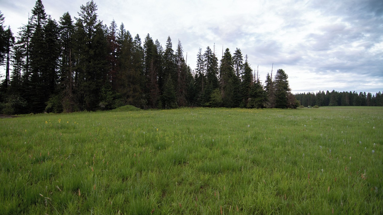 Photo of Others in Idaho County