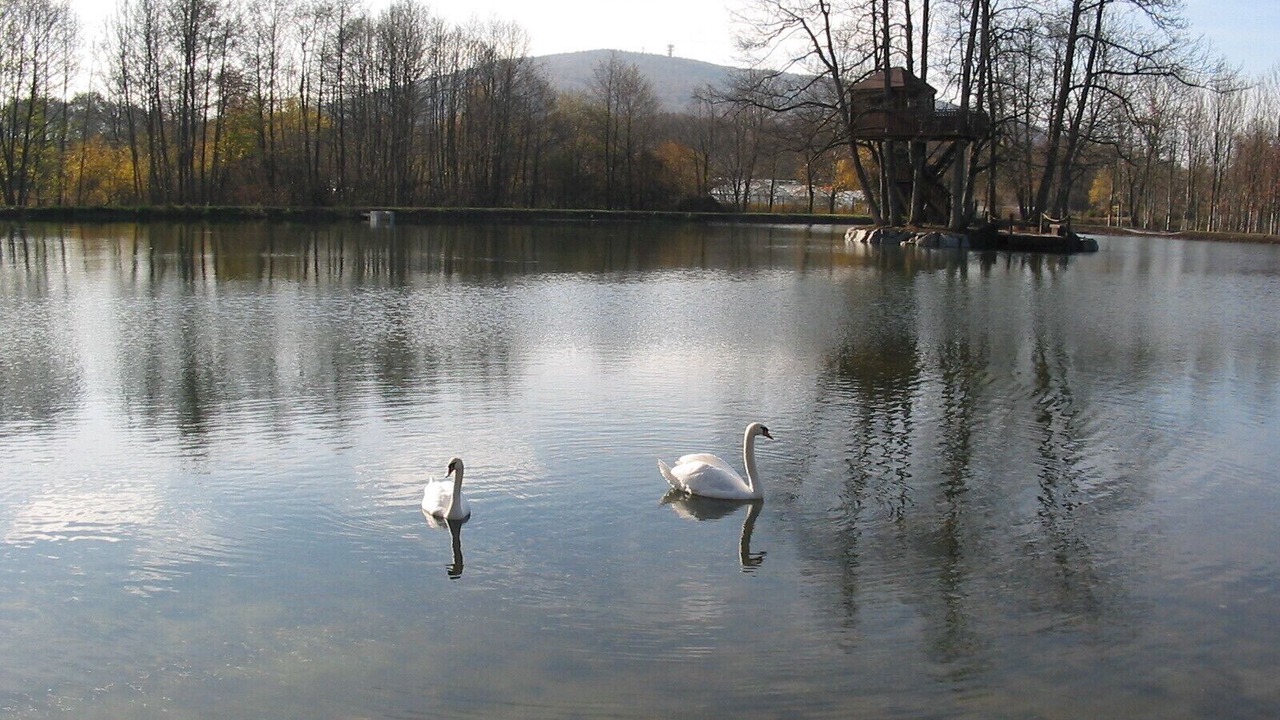 Photo of Others in Sermamagny