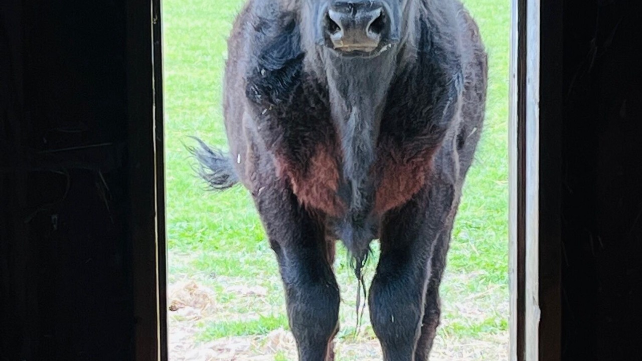 Photo of Others in Pipersville