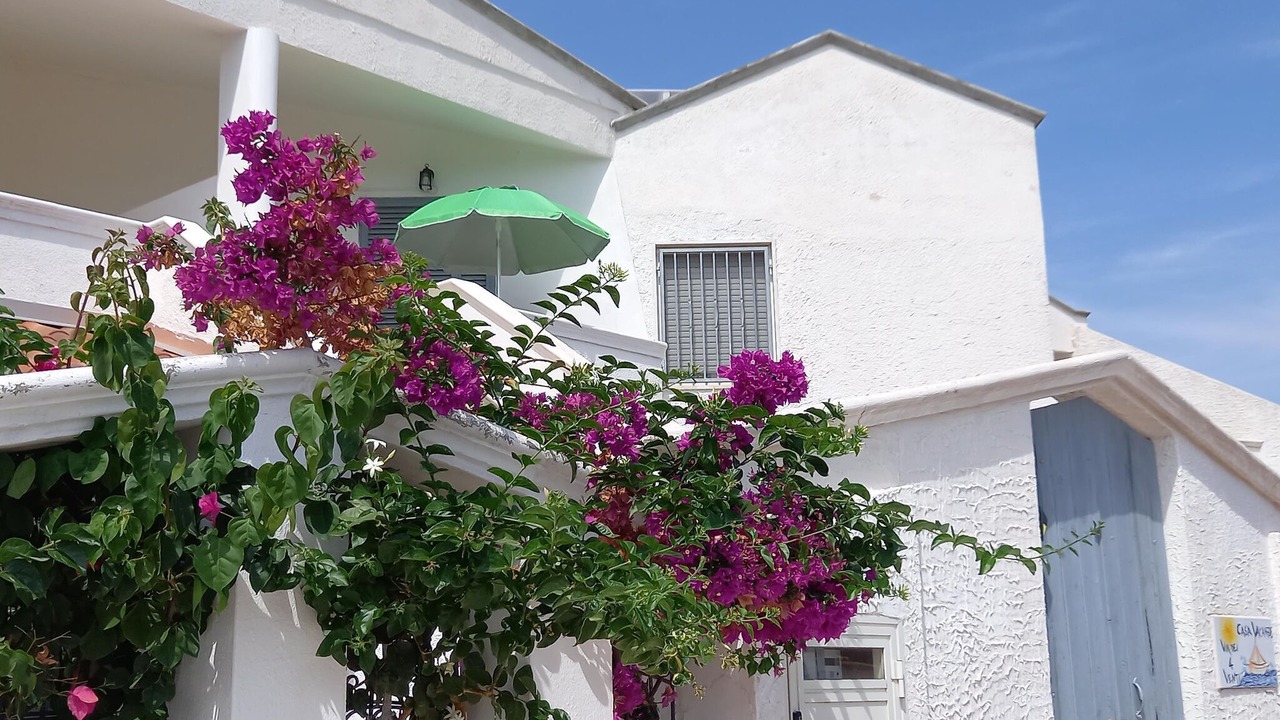 Photo of Outdoor in San Pietro in Bevagna
