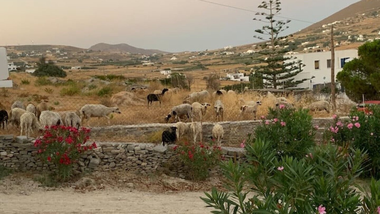 Photo of Others in Krotiri