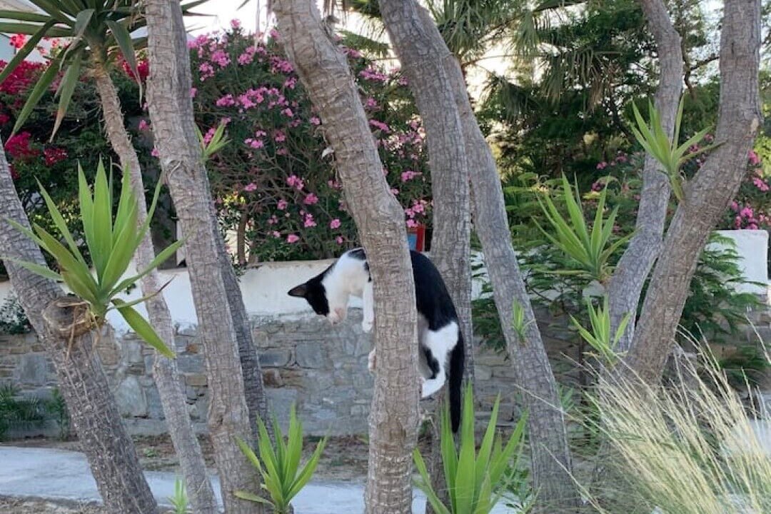 Photo of Outdoor in Krotiri