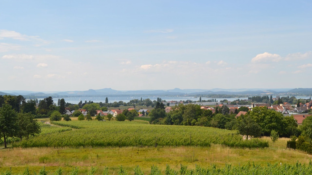 Photo of Others in Reichenau