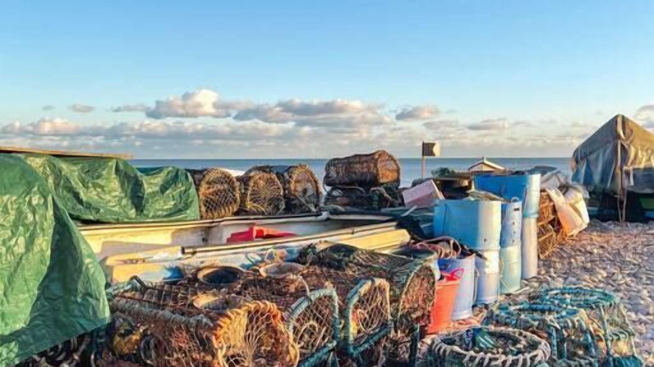 Photo of Others in Budleigh Salterton