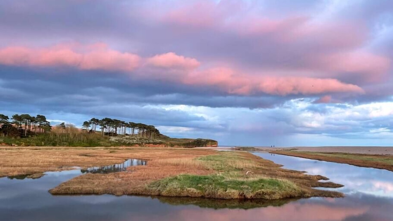 Photo of Outdoor in Budleigh Salterton