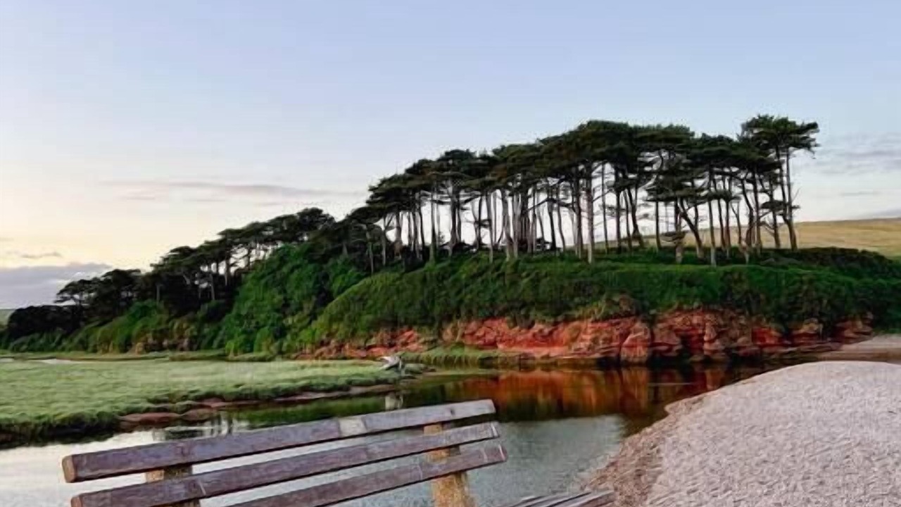 Photo of Outdoor in Budleigh Salterton