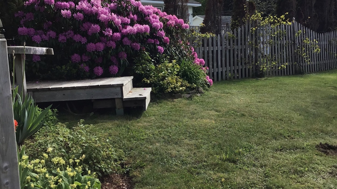 Photo of Outdoor in Margaretsville