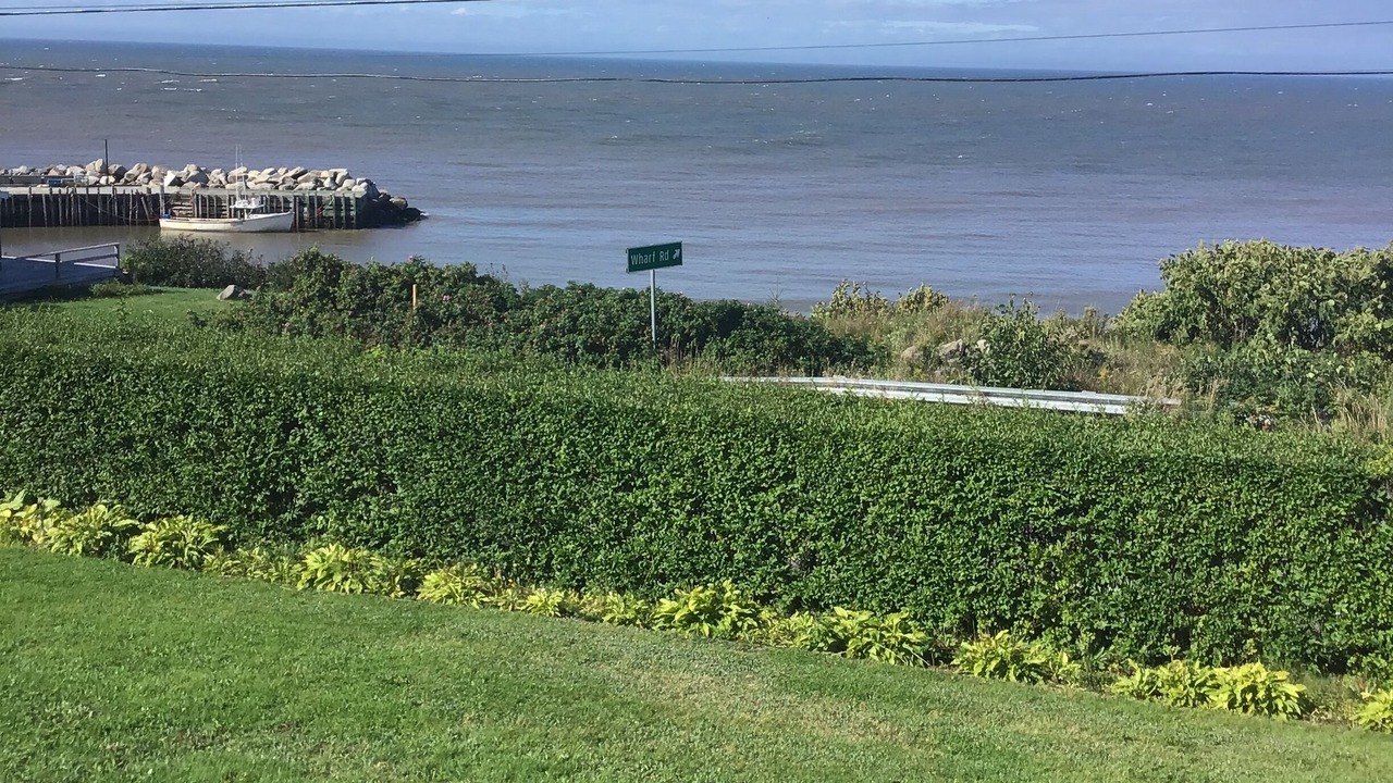 Photo of Outdoor in Margaretsville