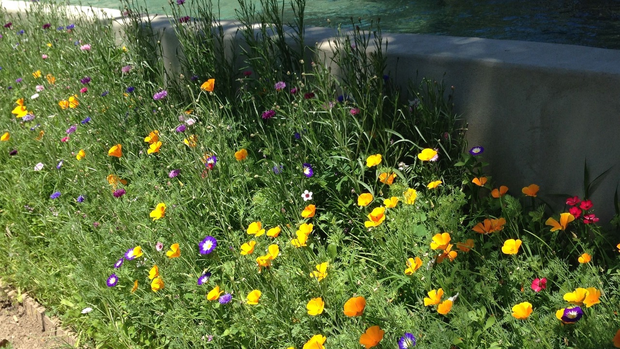 Photo of Outdoor in Saint-Etienne-du-Gres