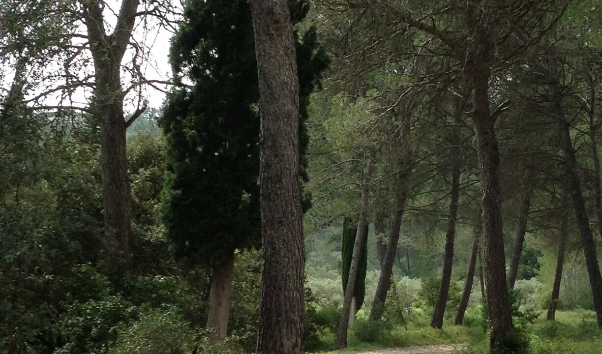 Photo of Others in Saint-Etienne-du-Gres