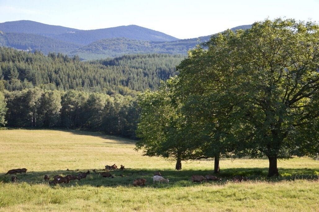 Photo of Outdoor in Viscomtat