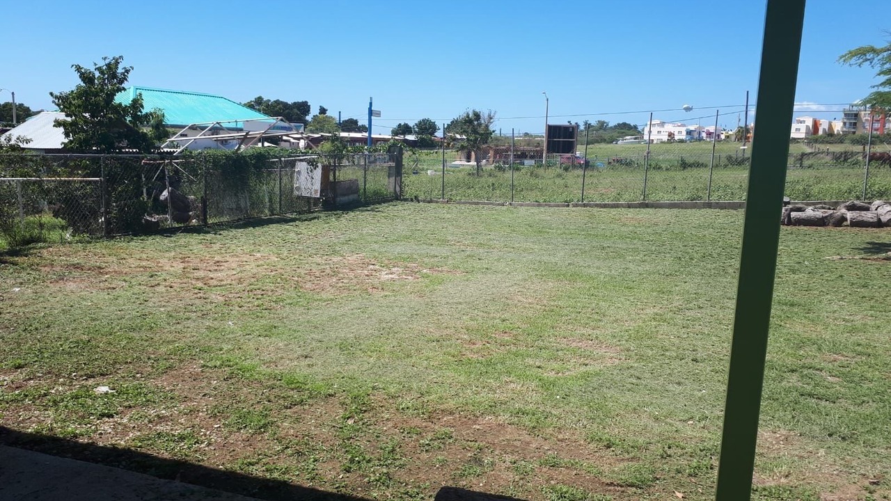 Photo of Others in La Parguera