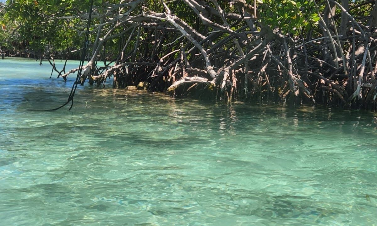 Photo of Outdoor in La Parguera