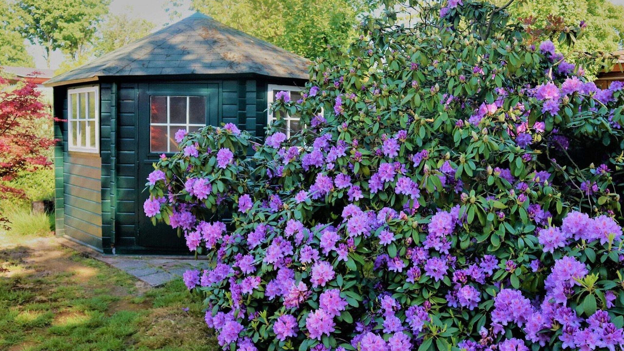 Photo of Outdoor in Garderen