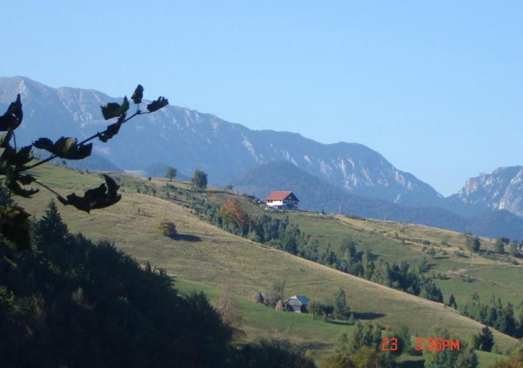 Photo of Others in Sirnea
